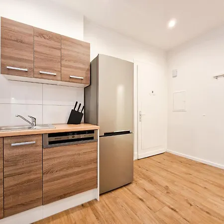 Raj Living - 1 Or 3 - 20 Min Messe Dus And Old Town Dus Apartment