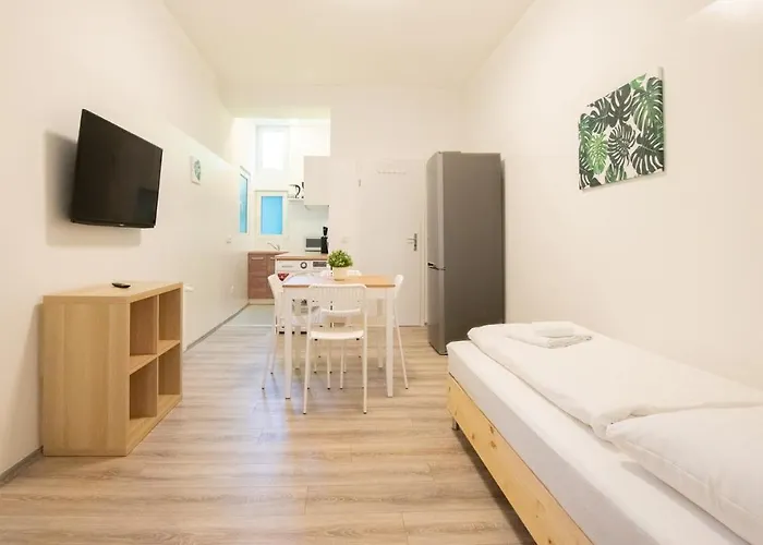 Tolstov - 1 Or 3 - 20 Min Messe Dus And Old Town Dus Apartament